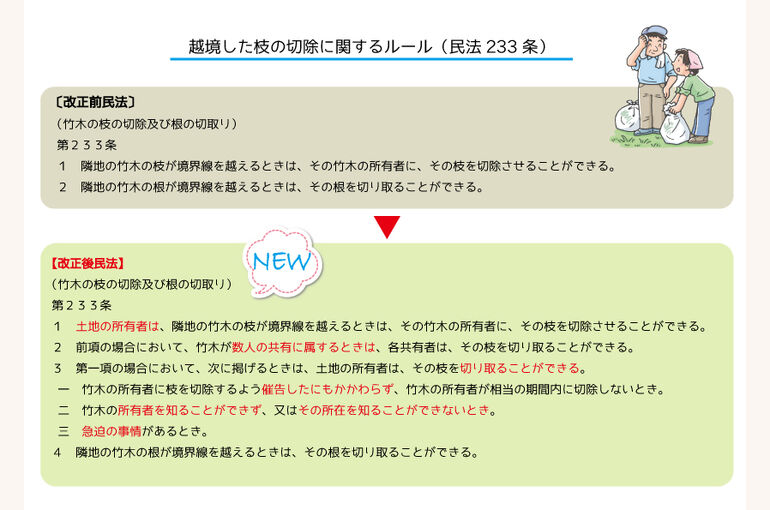 越境した枝の切除に関するルール